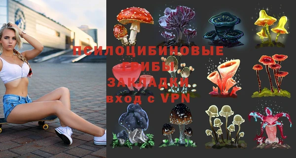 ALPHA PVP Алексин